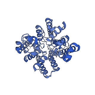 37382_8w9v_A_v1-0
structure of TaHKT2;1 in KCl at 2.9 Angstroms resolution