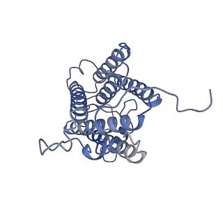 37383_8w9w_A_v1-1
The cryo-EM structure of human sphingomyelin synthase-related protein in complex with ceramide/phosphoethanolamine