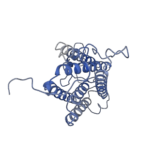 37383_8w9w_B_v1-1
The cryo-EM structure of human sphingomyelin synthase-related protein in complex with ceramide/phosphoethanolamine