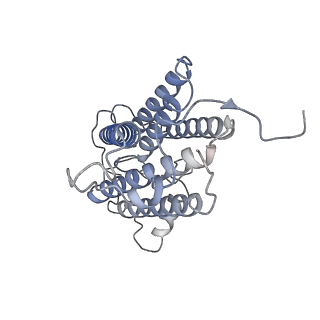 37383_8w9w_C_v1-1
The cryo-EM structure of human sphingomyelin synthase-related protein in complex with ceramide/phosphoethanolamine