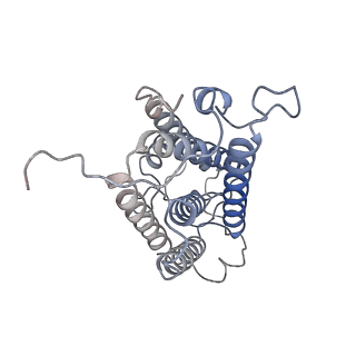 37383_8w9w_D_v1-1
The cryo-EM structure of human sphingomyelin synthase-related protein in complex with ceramide/phosphoethanolamine