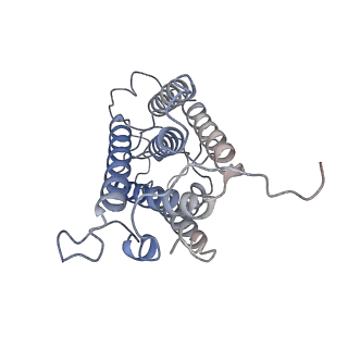 37383_8w9w_E_v1-1
The cryo-EM structure of human sphingomyelin synthase-related protein in complex with ceramide/phosphoethanolamine