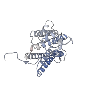 37383_8w9w_F_v1-1
The cryo-EM structure of human sphingomyelin synthase-related protein in complex with ceramide/phosphoethanolamine