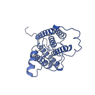 37385_8w9y_A_v1-1
The cryo-EM structure of human sphingomyelin synthase-related protein