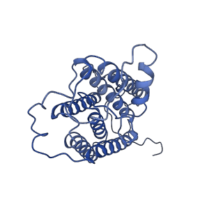 37385_8w9y_B_v1-1
The cryo-EM structure of human sphingomyelin synthase-related protein