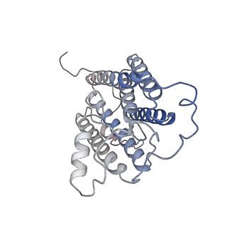 37385_8w9y_C_v1-1
The cryo-EM structure of human sphingomyelin synthase-related protein