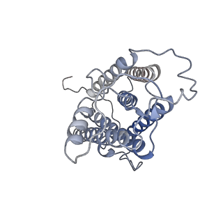 37385_8w9y_E_v1-1
The cryo-EM structure of human sphingomyelin synthase-related protein