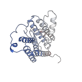 37385_8w9y_F_v1-1
The cryo-EM structure of human sphingomyelin synthase-related protein