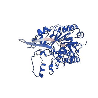 37386_8w9z_I_v1-0
The cryo-EM structure of the Nicotiana tabacum PEP-PAP