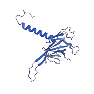 37386_8w9z_K_v1-0
The cryo-EM structure of the Nicotiana tabacum PEP-PAP