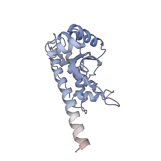 37386_8w9z_L_v1-0
The cryo-EM structure of the Nicotiana tabacum PEP-PAP