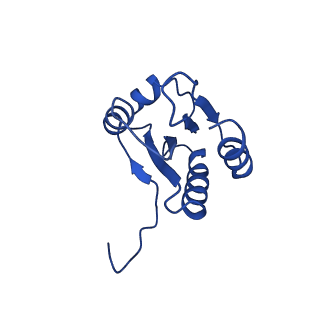 37386_8w9z_M_v1-0
The cryo-EM structure of the Nicotiana tabacum PEP-PAP