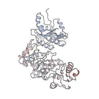 37386_8w9z_N_v1-0
The cryo-EM structure of the Nicotiana tabacum PEP-PAP