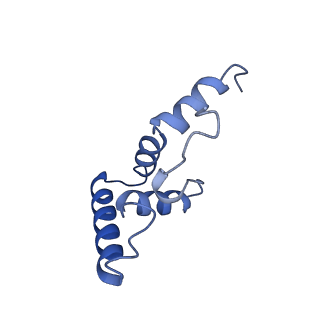 37386_8w9z_O_v1-0
The cryo-EM structure of the Nicotiana tabacum PEP-PAP