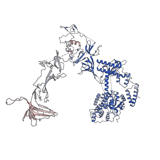 37386_8w9z_c_v1-0
The cryo-EM structure of the Nicotiana tabacum PEP-PAP