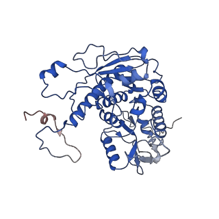 37386_8w9z_i_v1-0
The cryo-EM structure of the Nicotiana tabacum PEP-PAP