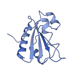 37386_8w9z_m_v1-0
The cryo-EM structure of the Nicotiana tabacum PEP-PAP