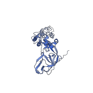 8783_5w9h_A_v1-6
MERS S ectodomain trimer in complex with variable domain of neutralizing antibody G4