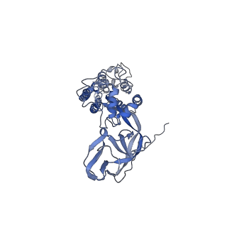8783_5w9h_A_v2-0
MERS S ectodomain trimer in complex with variable domain of neutralizing antibody G4