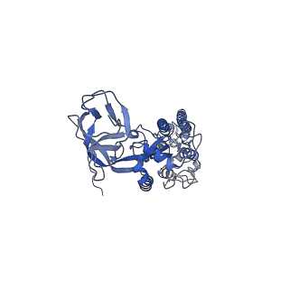 8783_5w9h_D_v1-6
MERS S ectodomain trimer in complex with variable domain of neutralizing antibody G4
