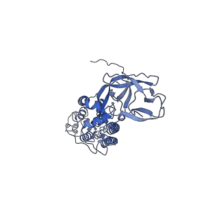 8783_5w9h_G_v1-6
MERS S ectodomain trimer in complex with variable domain of neutralizing antibody G4