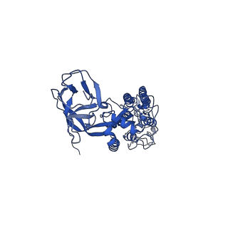 8784_5w9i_I_v1-6
MERS S ectodomain trimer in complex with variable domain of neutralizing antibody G4