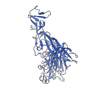 8784_5w9i_J_v1-6
MERS S ectodomain trimer in complex with variable domain of neutralizing antibody G4