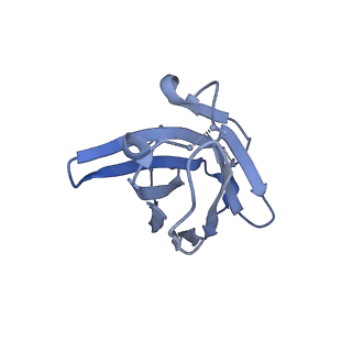 8784_5w9i_K_v1-6
MERS S ectodomain trimer in complex with variable domain of neutralizing antibody G4