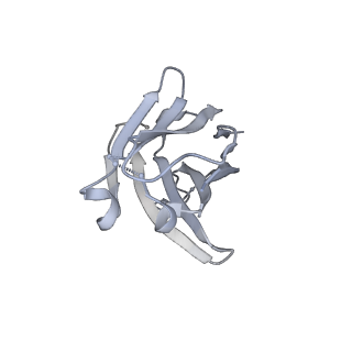 8785_5w9j_B_v1-5
MERS S ectodomain trimer in complex with variable domain of neutralizing antibody G4