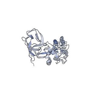 8785_5w9j_D_v1-5
MERS S ectodomain trimer in complex with variable domain of neutralizing antibody G4