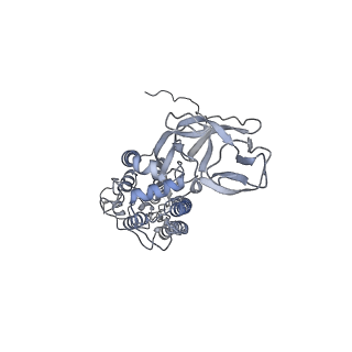 8785_5w9j_G_v1-5
MERS S ectodomain trimer in complex with variable domain of neutralizing antibody G4