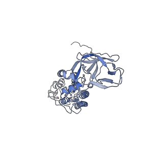 8786_5w9k_D_v1-5
MERS S ectodomain trimer in complex with variable domain of neutralizing antibody G4