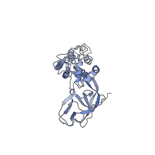 8786_5w9k_G_v1-5
MERS S ectodomain trimer in complex with variable domain of neutralizing antibody G4