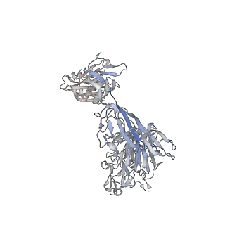 8786_5w9k_J_v1-5
MERS S ectodomain trimer in complex with variable domain of neutralizing antibody G4