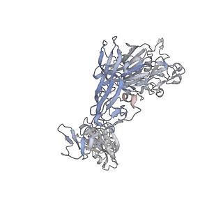 8786_5w9k_L_v1-5
MERS S ectodomain trimer in complex with variable domain of neutralizing antibody G4