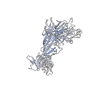 8787_5w9l_B_v1-5
MERS S ectodomain trimer in complex with variable domain of neutralizing antibody G4