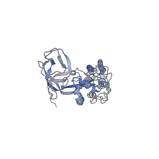 8787_5w9l_D_v1-5
MERS S ectodomain trimer in complex with variable domain of neutralizing antibody G4