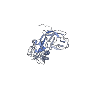 8787_5w9l_G_v1-5
MERS S ectodomain trimer in complex with variable domain of neutralizing antibody G4