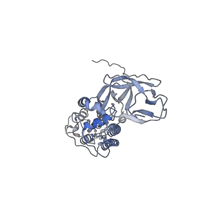 8788_5w9m_A_v1-5
MERS S ectodomain trimer in complex with variable domain of neutralizing antibody G4