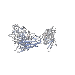 8788_5w9m_E_v1-5
MERS S ectodomain trimer in complex with variable domain of neutralizing antibody G4