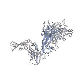 8788_5w9m_F_v1-5
MERS S ectodomain trimer in complex with variable domain of neutralizing antibody G4