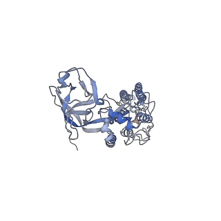 8788_5w9m_G_v1-5
MERS S ectodomain trimer in complex with variable domain of neutralizing antibody G4