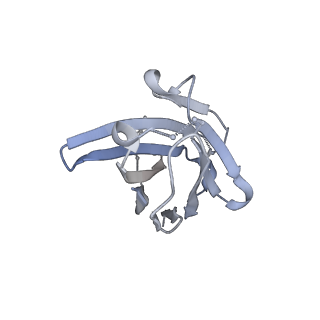 8788_5w9m_H_v1-5
MERS S ectodomain trimer in complex with variable domain of neutralizing antibody G4