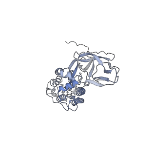 8789_5w9n_A_v1-5
MERS S ectodomain trimer in complex with variable domain of neutralizing antibody G4