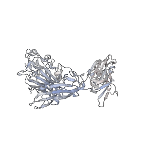 8789_5w9n_H_v1-5
MERS S ectodomain trimer in complex with variable domain of neutralizing antibody G4