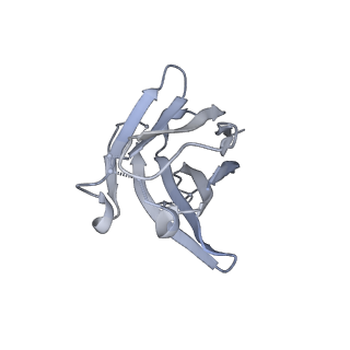8790_5w9o_B_v1-5
MERS S ectodomain trimer in complex with variable domain of neutralizing antibody G4