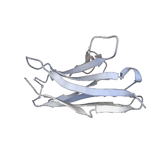 8790_5w9o_C_v1-5
MERS S ectodomain trimer in complex with variable domain of neutralizing antibody G4