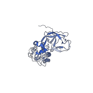 8790_5w9o_G_v1-5
MERS S ectodomain trimer in complex with variable domain of neutralizing antibody G4