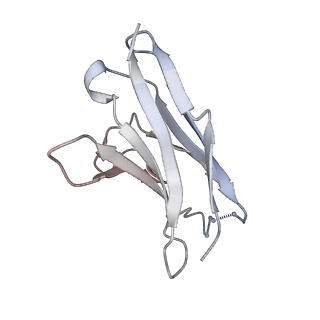 8790_5w9o_I_v1-5
MERS S ectodomain trimer in complex with variable domain of neutralizing antibody G4