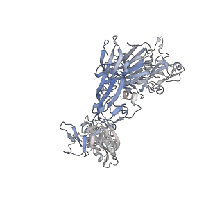 8790_5w9o_J_v1-5
MERS S ectodomain trimer in complex with variable domain of neutralizing antibody G4